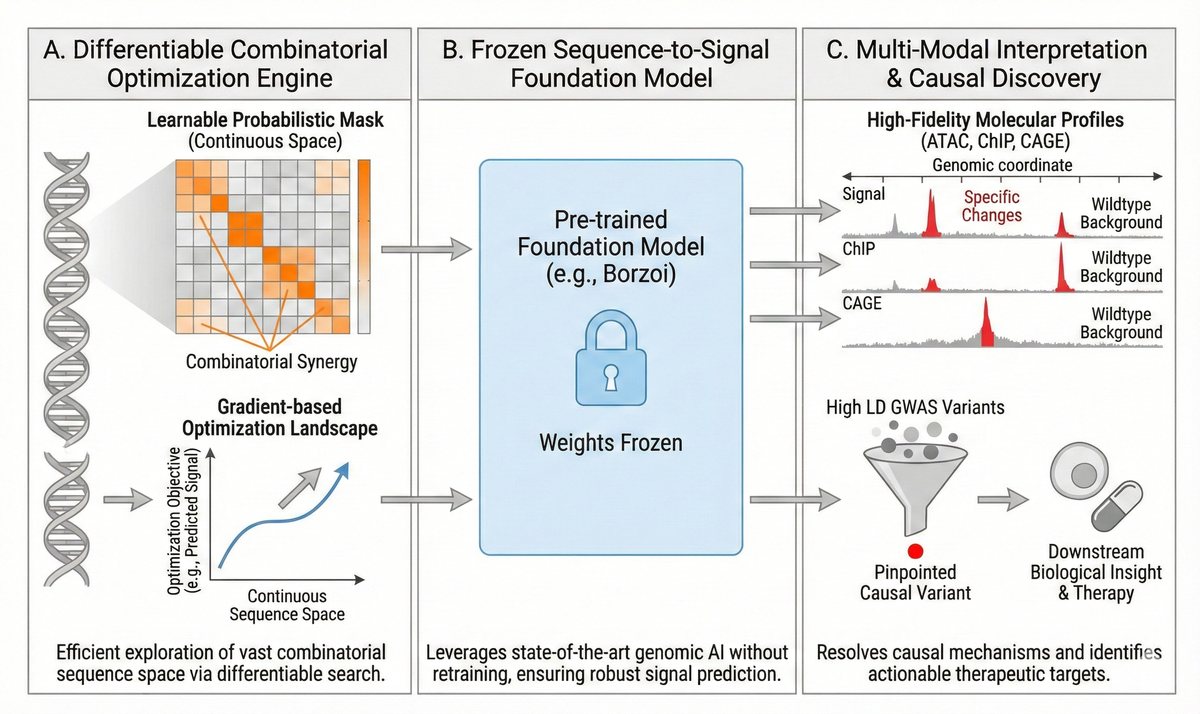 MUGO framework overview: optimization engine, frozen sequence-to-signal foundation model, and multi-modal interpretation